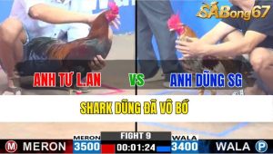 TRẬN 9 CPC3 19/11/2024-Shark Dũng Đã Vô Bồ