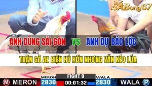 Trận 9 CPC3 9/11/2024-Trận Gà AE Biện Hú Hồn Nhưng Vẫn Kéo Lúa